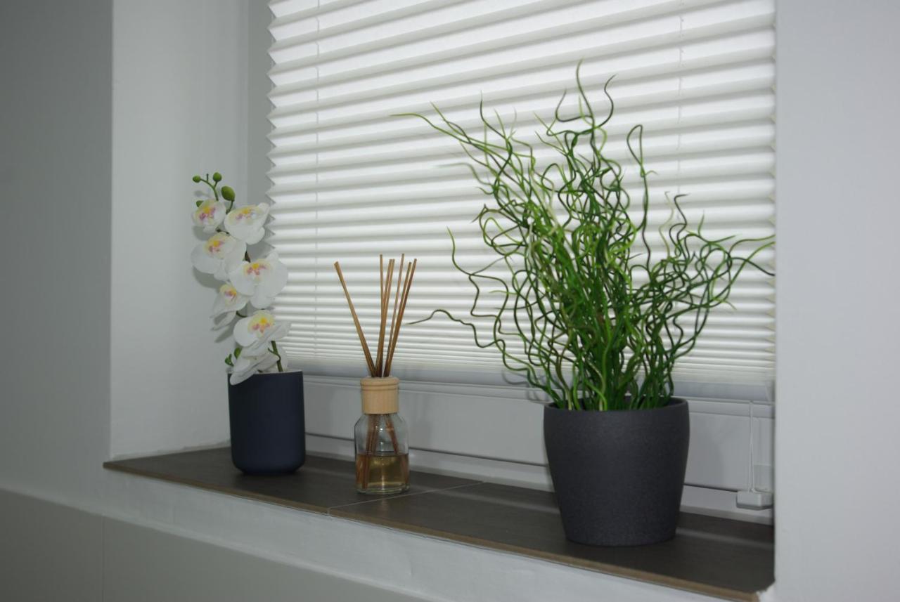 Ferienwohnung Am Hermann 代特莫尔德 外观 照片
